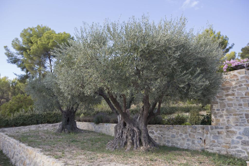 Mas Des Avelines Villa Le Brulat Exterior photo